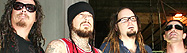 Korn    