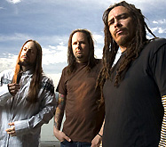 Korn    