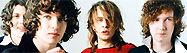 The Kooks потеряли басиста